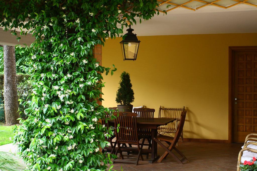 B&B Igea 50 Modena Exteriér fotografie